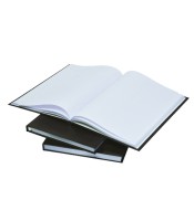 Registre 31x20cm quadrillé 5x5  592 pages   AO