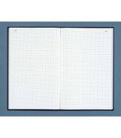 Registre 34x22.5cm quadrillé 5x5  200 pages R.752D
