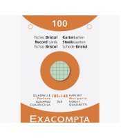 Bristol 10.5x14.8cm quadrillé perforé assortis 100 feuilles R.13659E