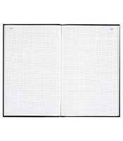 Registre 34x22.5cm quadrillé 5x5  600 pages R.756D