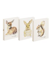 Classeur A4 4 anneaux animaux de la forêt assortis R.P2077825