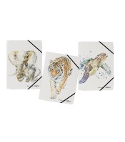 Chemise à élastique A4 3 rabats animaux de la jungle ass R.P2162625