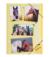 Chemise à élastique A4 3 rabats chevaux R.P2171515