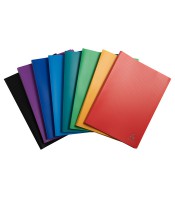 Protège-documents 160 vues coloris assortis 3/10éme opaque R.8580