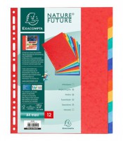 Intercalaires 12 positions A4 maxi carte lustrée 3/10 225g R.2412E 