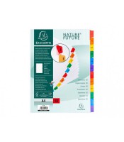 Intercalaires 12 positions A4 mois carton blanc avec touches R.1113E