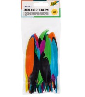 Plumes 17cm coloris assortis R.55119