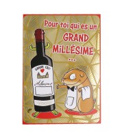 Carte 14x20cm "l'humour en folie" assortis 