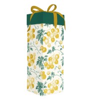 Boîte cadeau bouteille R.23POPB