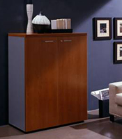 Armoire mi-hauteur 2 portes dessus L86xH131 noyer corps gris
