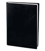 Agenda olympe  16x24cm semaine sur 2 pages force 8 R.302001Q