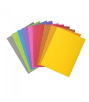 Sous-chemise rock's couleurs assorties paquet de 30 80g R.807001
