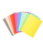Chemise forever couleurs assorties vives paquet de 100 220g R.410000E