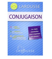 Conjugaison Livre de Bord Ned - Larousse